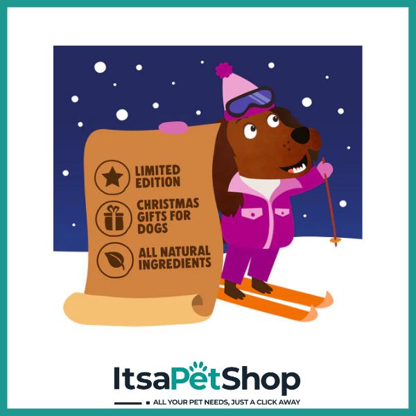 Denzels Gingerbread House Gift Box for Dogs