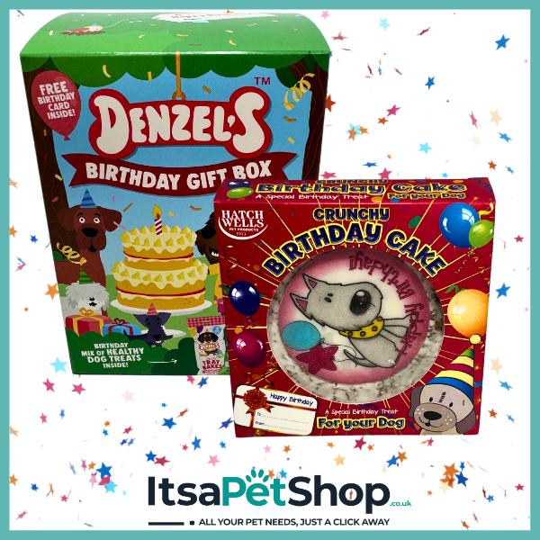 Dogs Birthday Bundle - Perfect Gift for Your Canine Companion