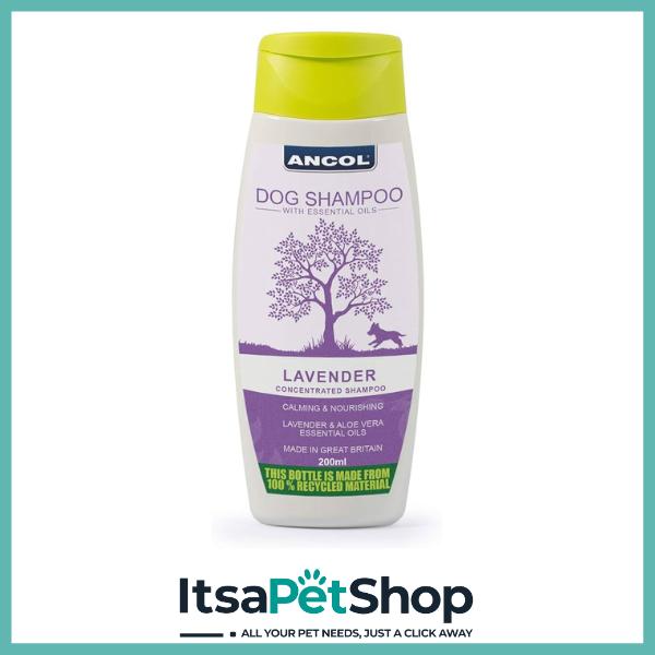 Ancol Lavender Scented Dog Shampoo for Pet Grooming