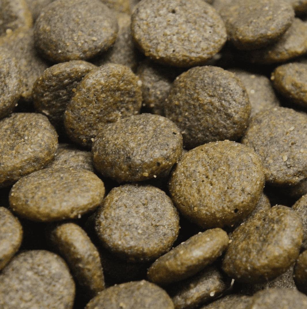 2KG Grain Free Dog Food Haddock with Sweet Potato & Parsley Recipe