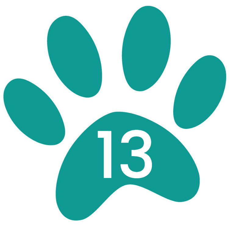 Appointment Self Service Dog Wash