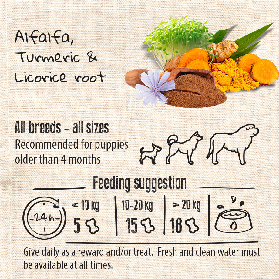 Vegan Natural Functional treat for dogs – Grain Free MOBILITY