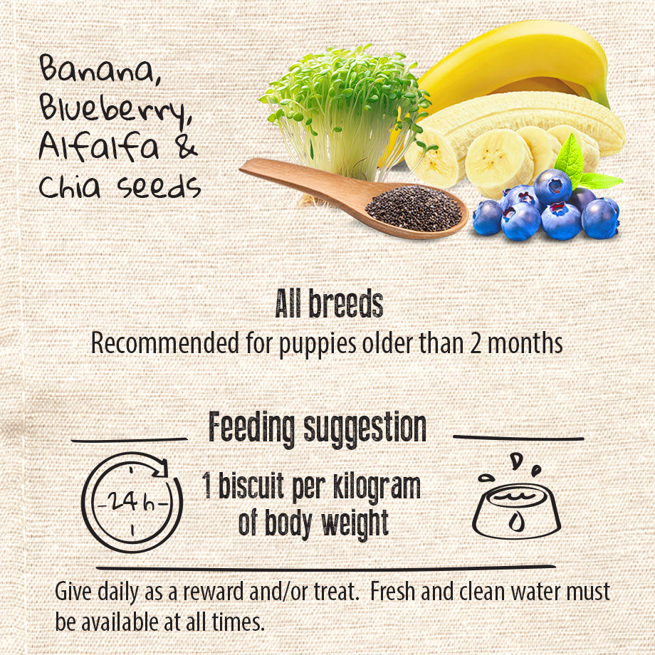 Vegan Natural Functional treat for dogs – Grain Free PUPPY POWER