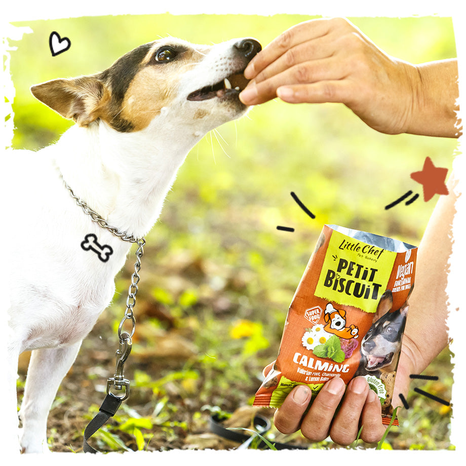 Vegan Natural Functional treat for dogs – Grain Free CALMING