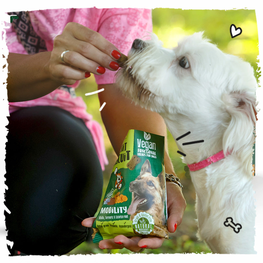 Vegan Natural Functional treat for dogs – Grain Free MOBILITY