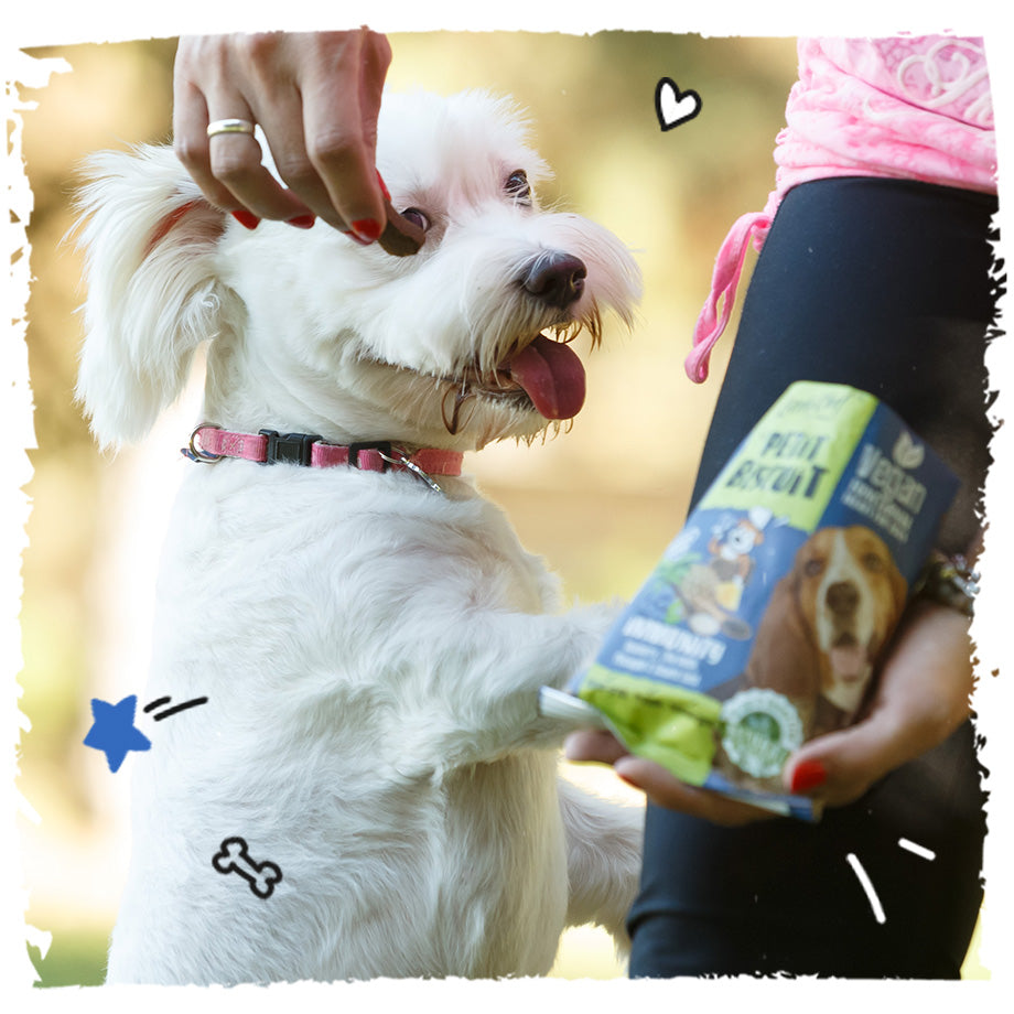 Vegan Natural Functional treat for dogs – Grain Free IMMUNITY