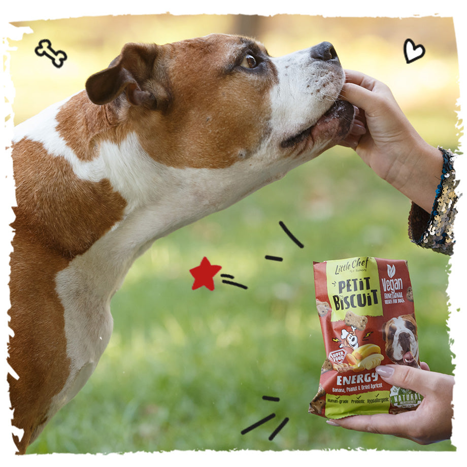 Vegan Natural Functional treat for dogs – Grain Free ENERGY