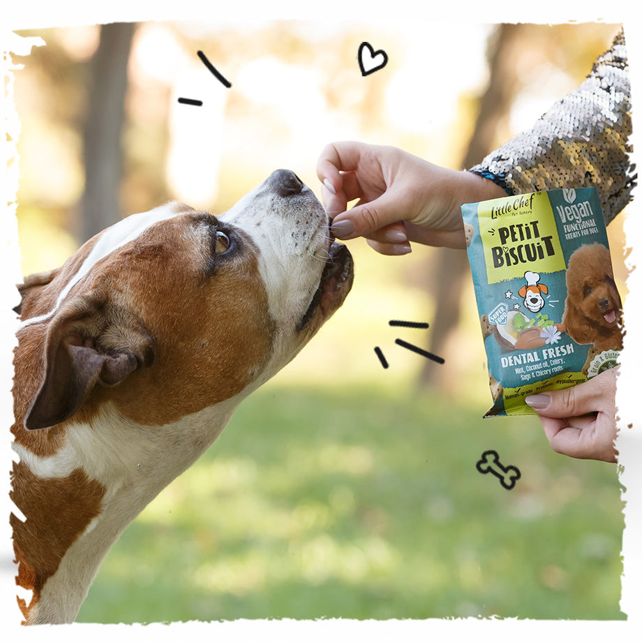 Vegan Natural Functional treat for dogs – Grain Free DENTAL FRESH