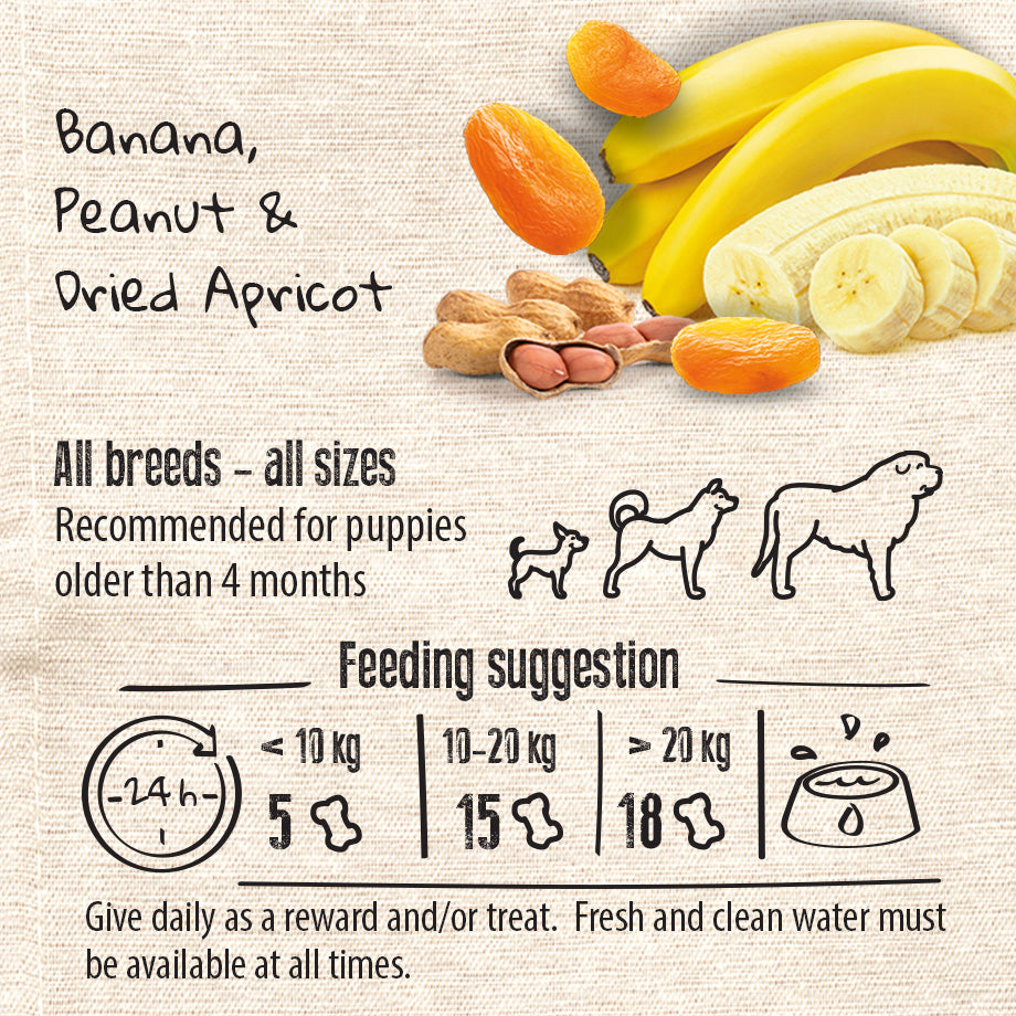 Vegan Natural Functional treat for dogs – Grain Free ENERGY