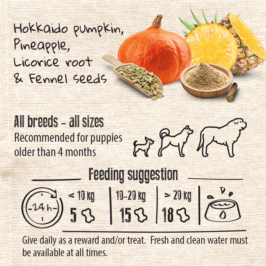 Vegan Natural Functional treat for dogs – Grain Free DIGESTION