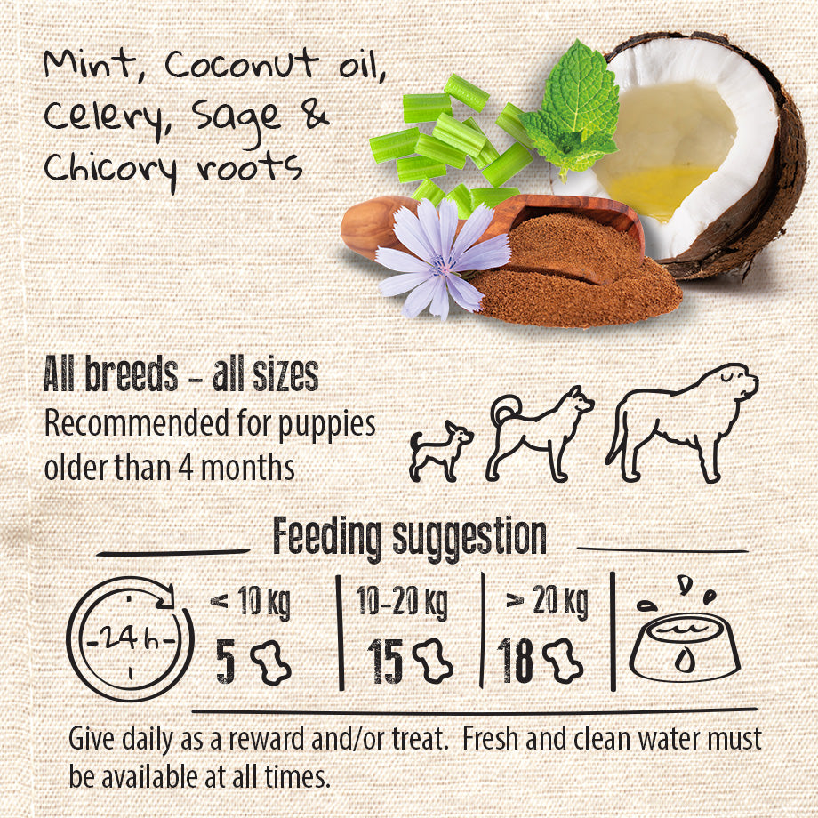 Vegan Natural Functional treat for dogs – Grain Free DENTAL FRESH