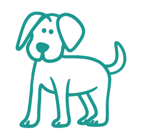 Dogs