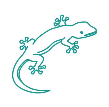 Reptile