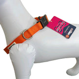 Doodlebone Collars