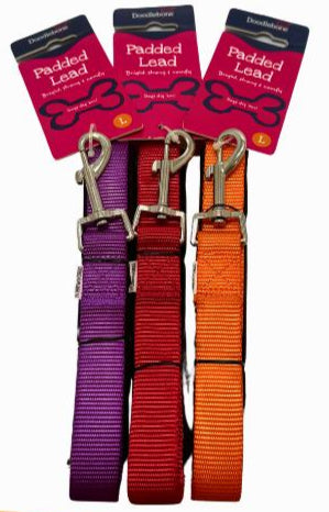 Doodlebone Dog Lead - Perfect for Walks and Playtime