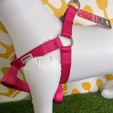 Doodlebone Dog Harness - Perfect for Walks and Adventures