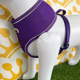 Doodlebone Airmesh Harness