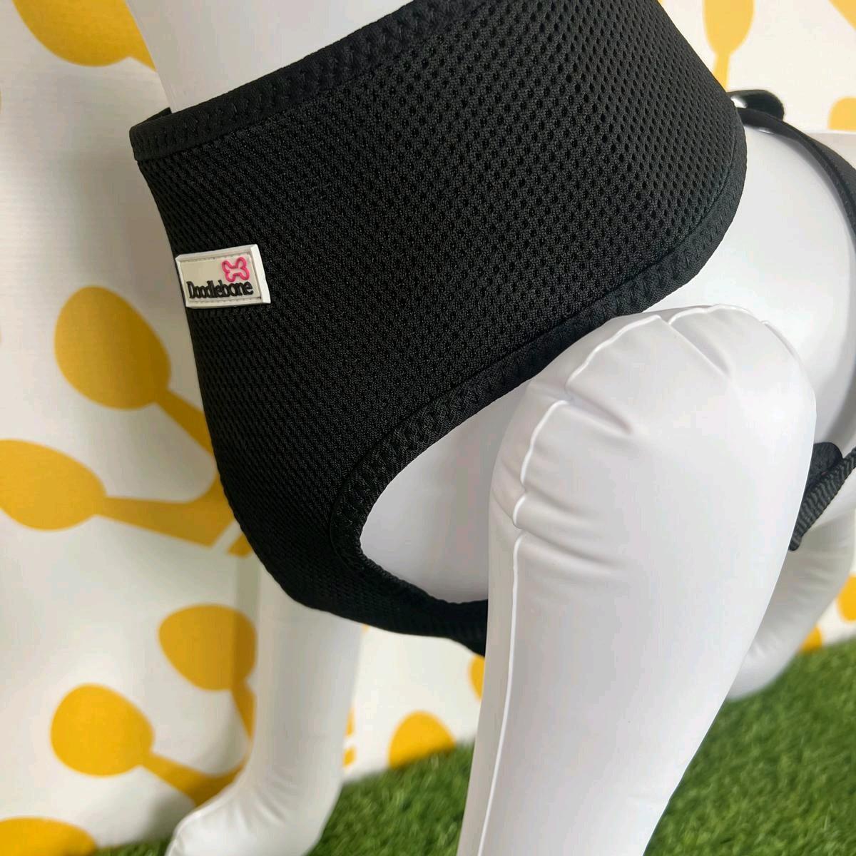 Doodlebone Airmesh Harness