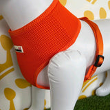 Doodlebone Airmesh Harness