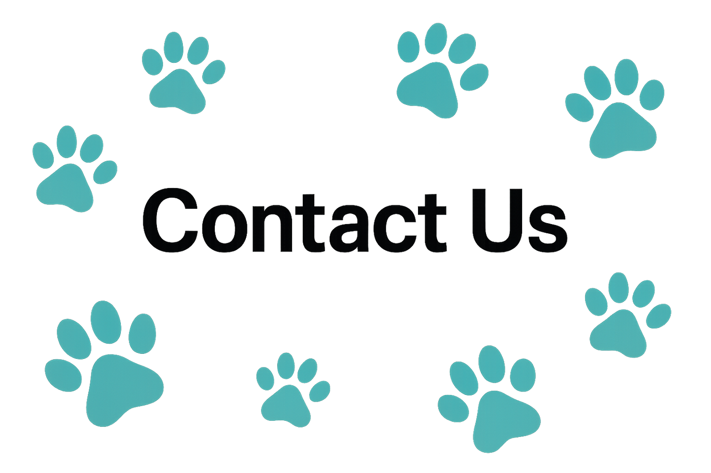 countact us with our colour paw prints in teal