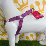 Doodlebone Dog Harness - Perfect for Walks and Adventures