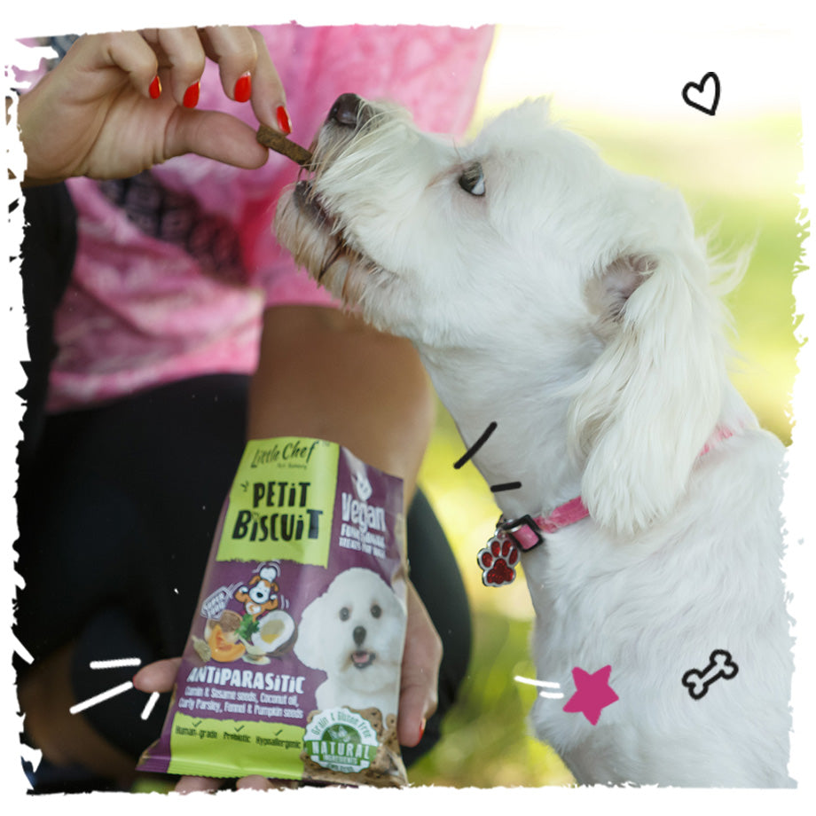Vegan Natural Functional treat for dogs – Grain Free  ANTIPARASITIC